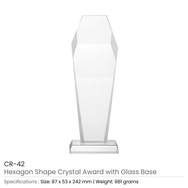 Hexagon Shaped Crystal Awards - Image 4