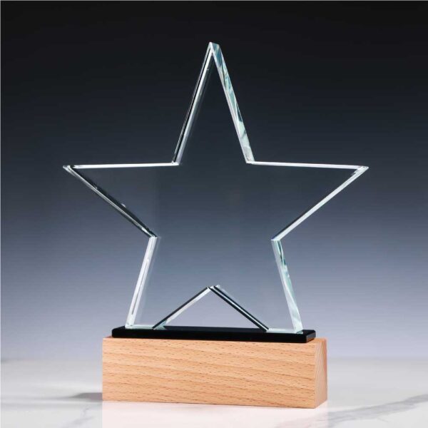 Star Shaped Crystal Awards - Image 5